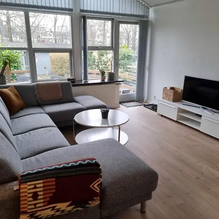 Cozy Modern House With Garden